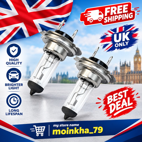 2pcs headlight globes 55w - headlight,